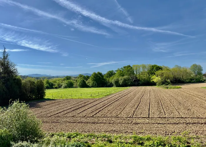 Maison Des Chenes 64 - Independant With Terrasse